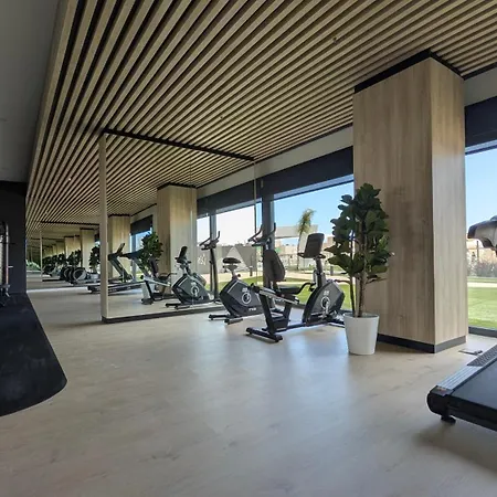 Sunset Sailors Relax